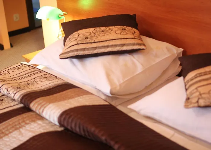 Habitación en casa particular Pensjonat Rezydencja Parkowa Breslavia