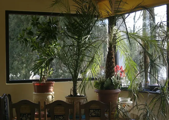 Pensjonat Rezydencja Parkowa Habitación en casa particular *