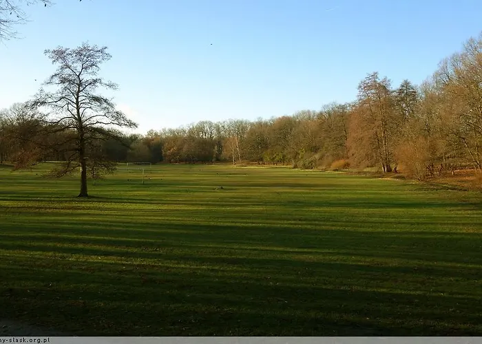 Pensjonat Rezydencja Parkowa Habitación en casa particular