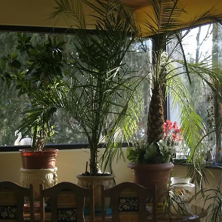 Pensjonat Rezydencja Parkowa Habitación en casa particular *