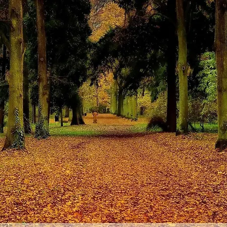 Habitación en casa particular Pensjonat Rezydencja Parkowa Breslavia