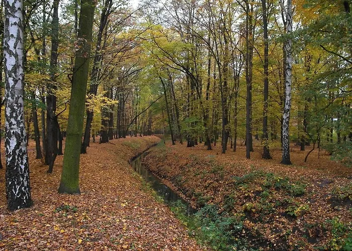 Pensjonat Rezydencja Parkowa
