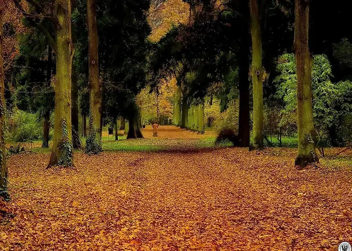 Privatunterkunft Pensjonat Rezydencja Parkowa Breslau